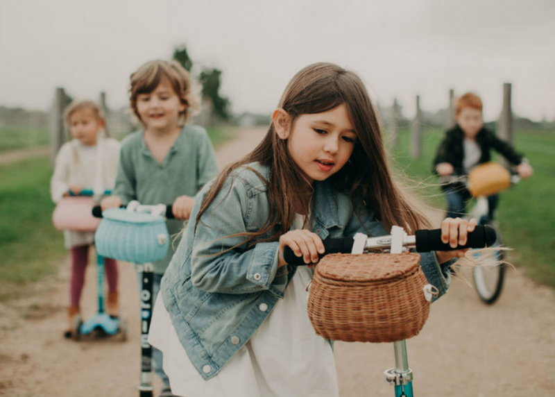 Summertime Fun: Top Toy Features for Summer!