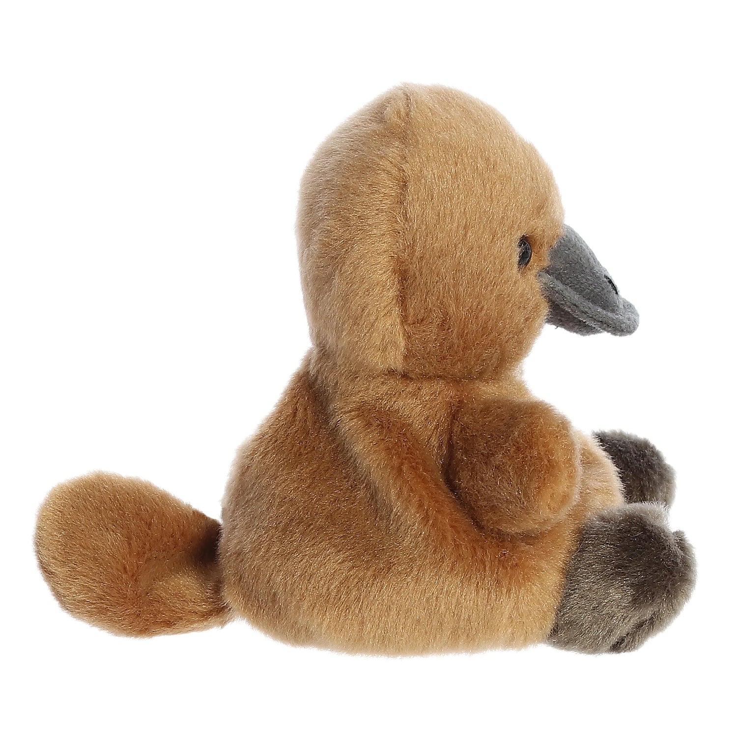 Palm Pals Patty Platypus