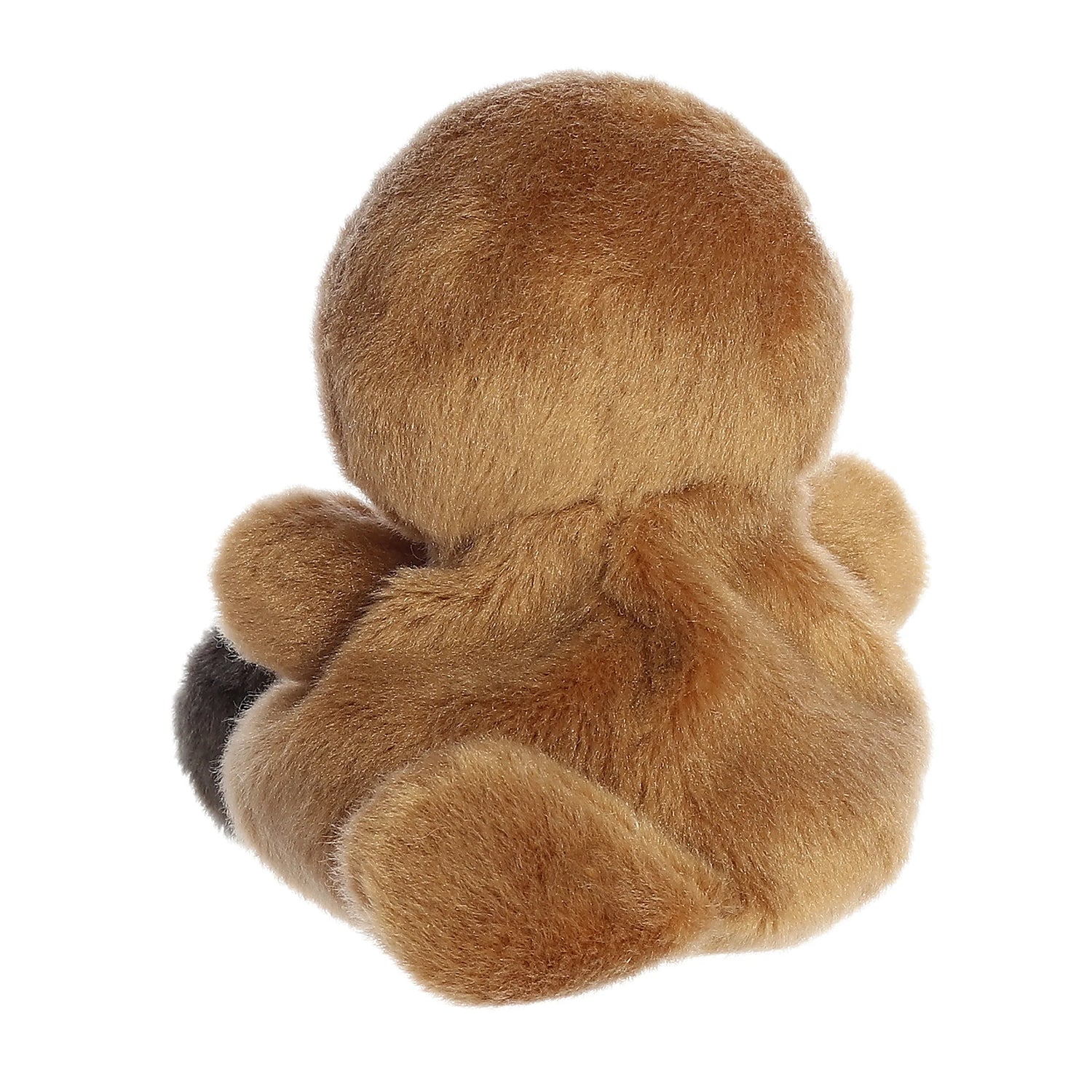 Palm Pals Patty Platypus