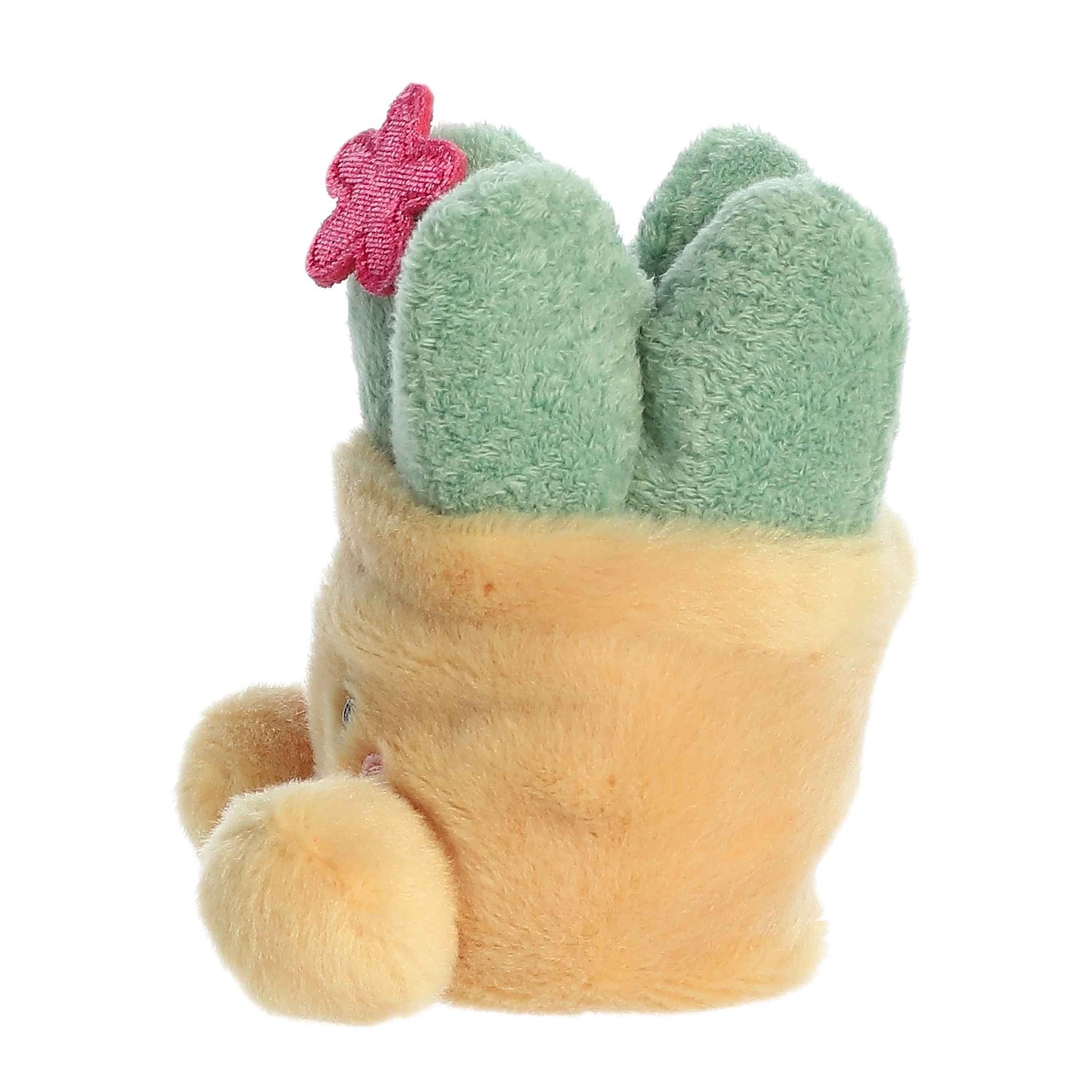 Palm Pals Seyla Succulent