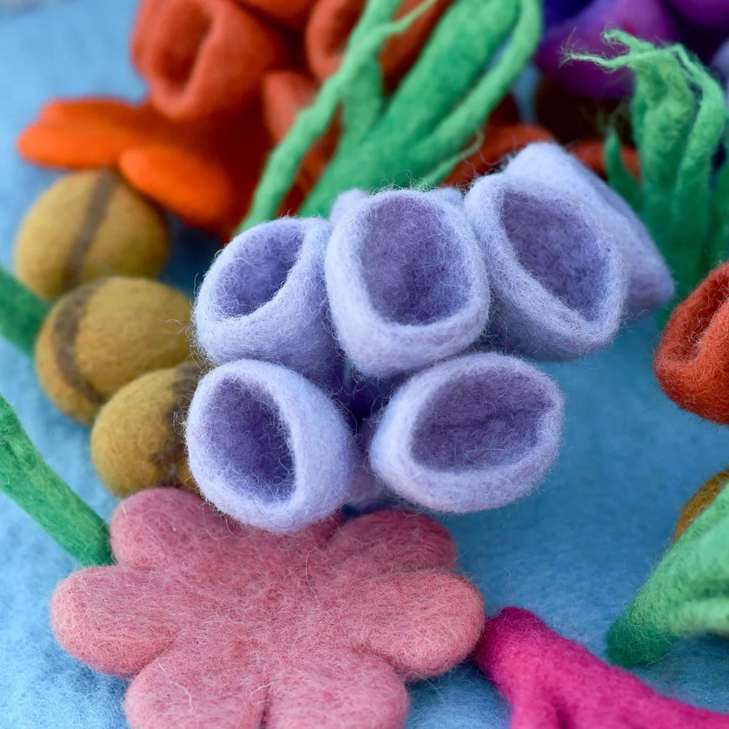 Felt Coral Reef Playmat Playscape (Fish Sold Separately)