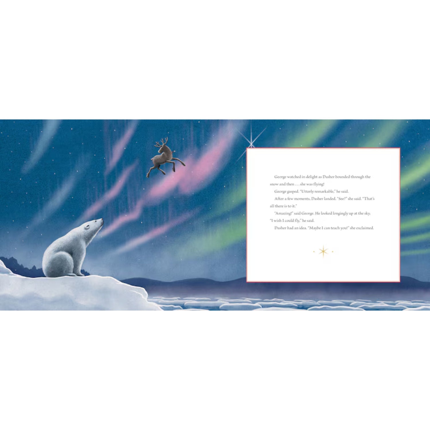 Dasher and the Polar Bear | Hardcover