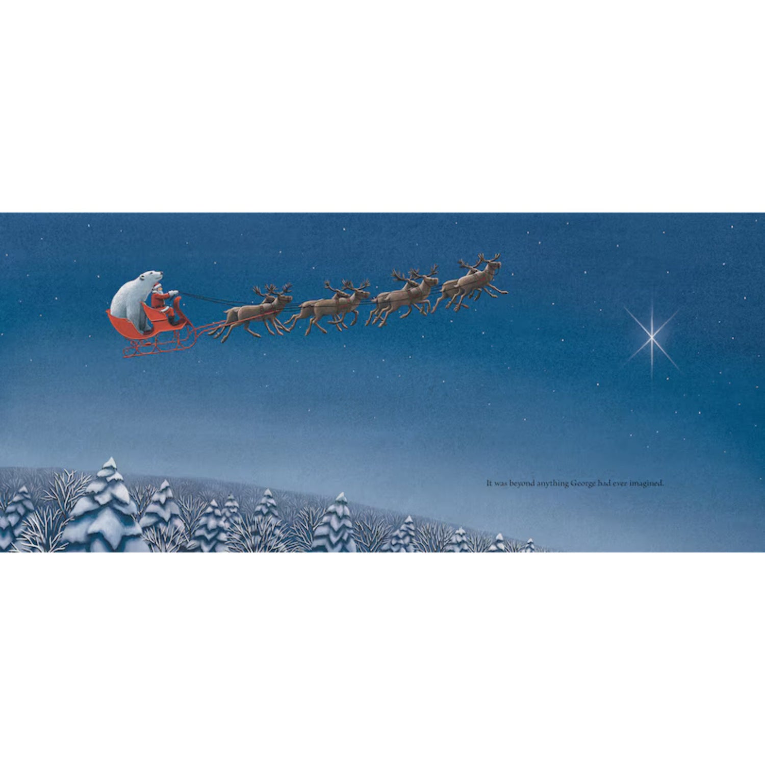 Dasher and the Polar Bear | Hardcover