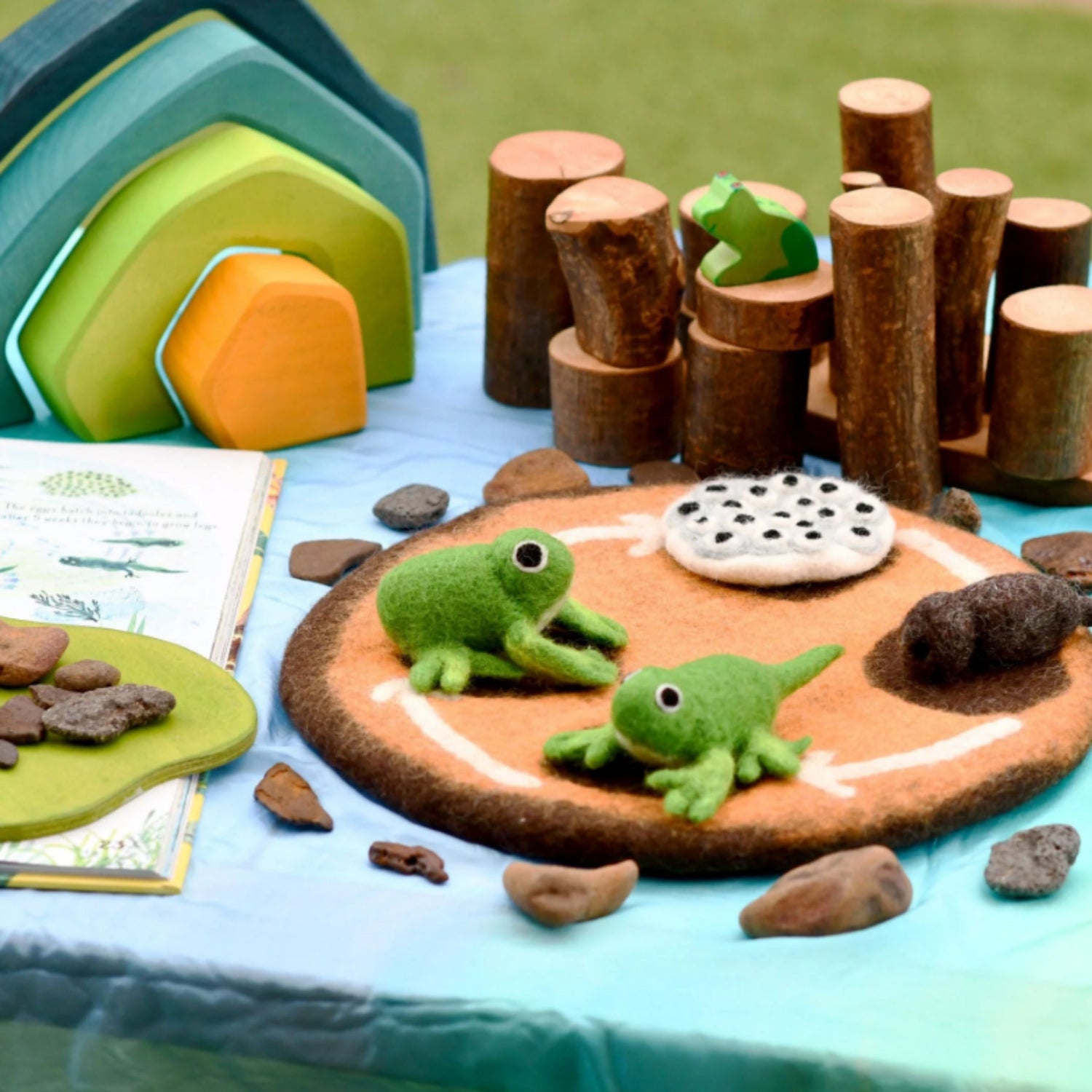 Felt Life Cycle of a Frog (Playmat Sold Separately)