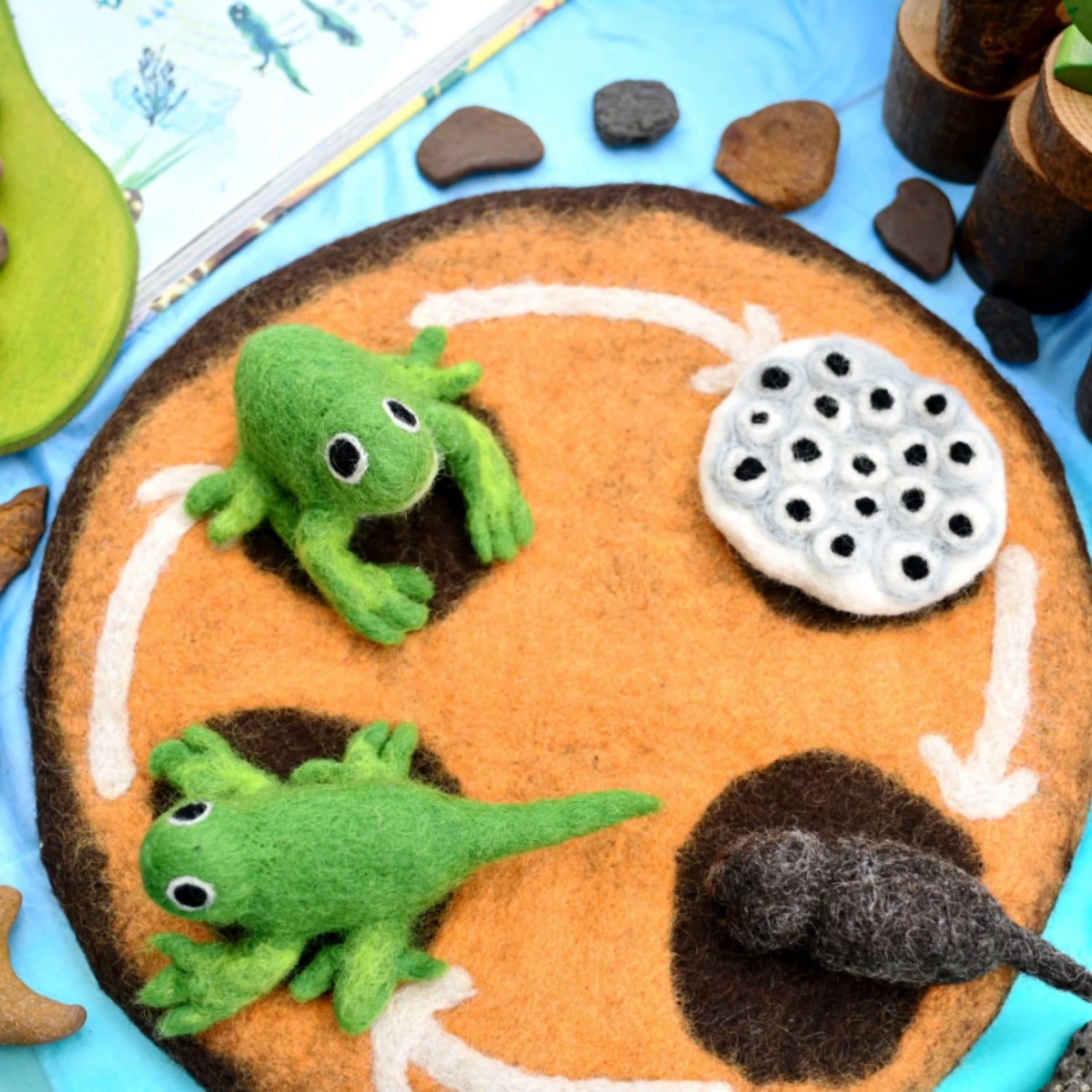 Felt Life Cycle of a Frog (Playmat Sold Separately)