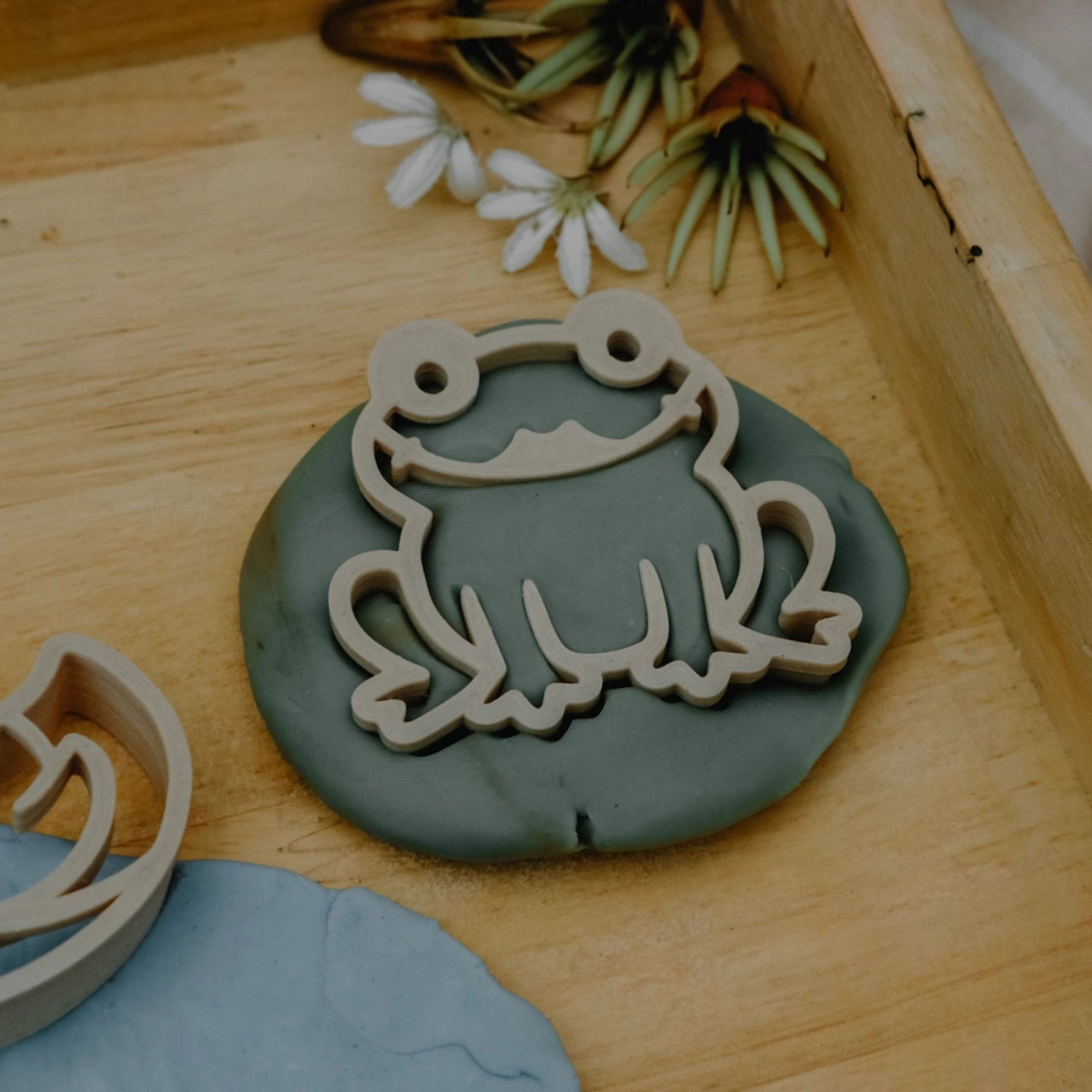 Pond Life Eco Cutter Playdough Set