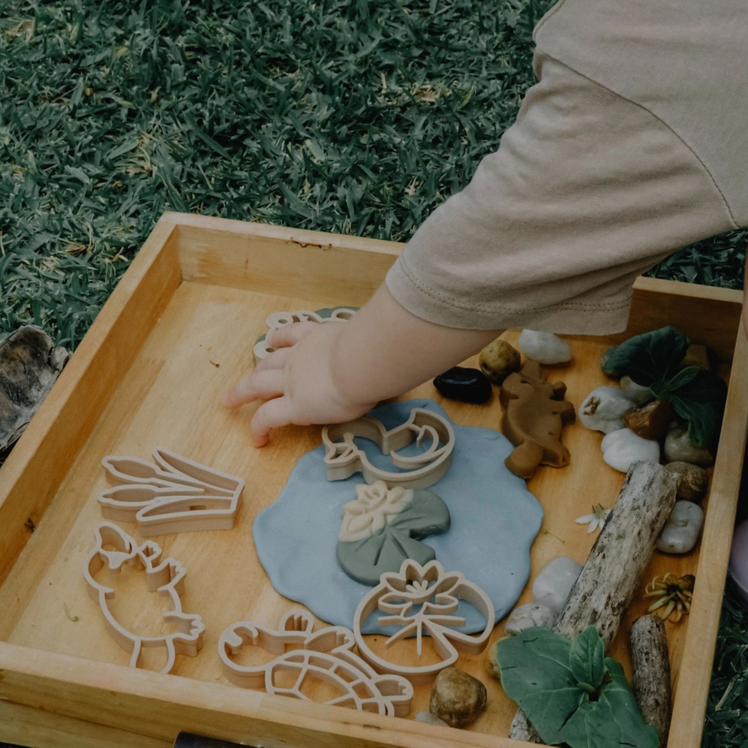 Pond Life Eco Cutter Playdough Set