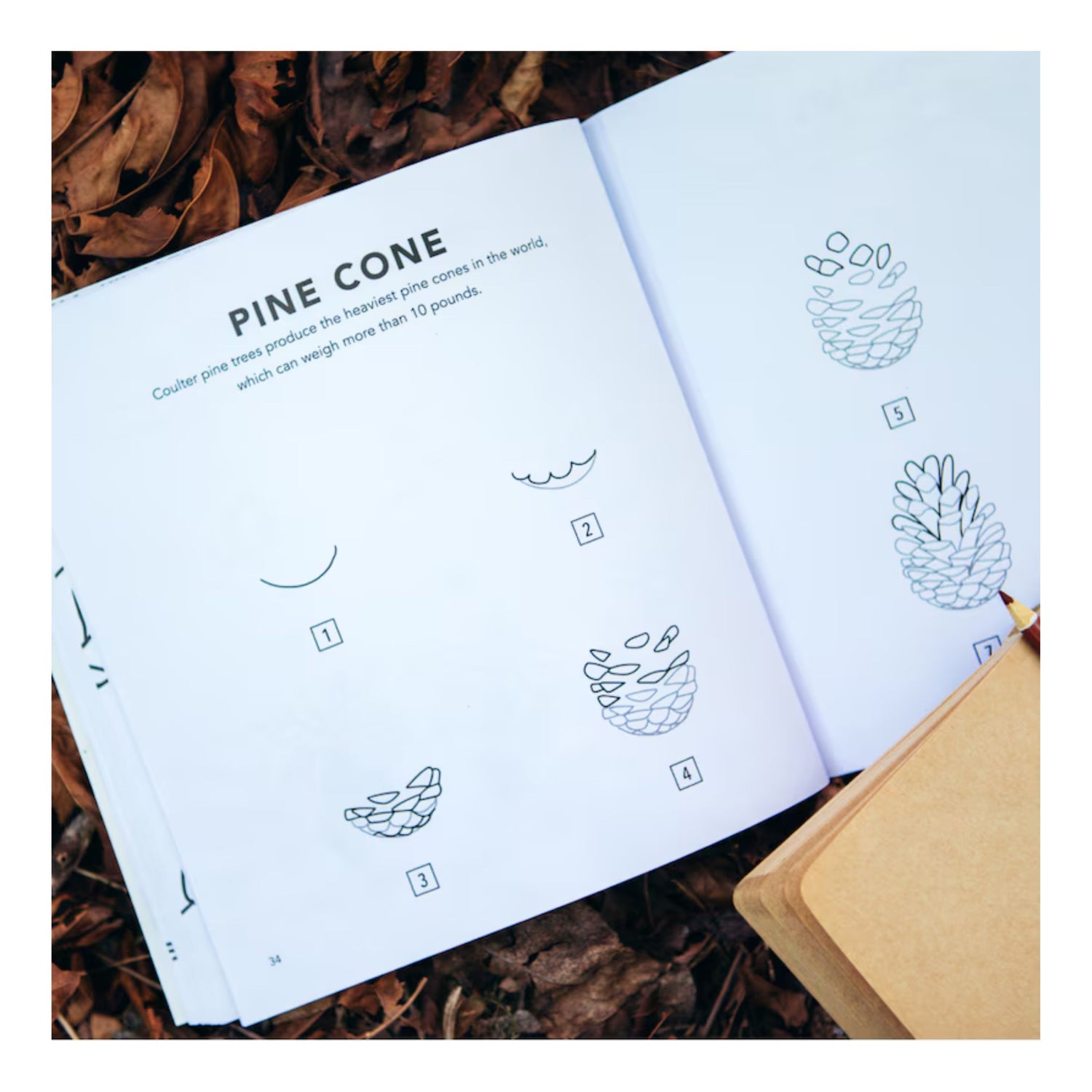 Fall Things: How to Draw Books for Kids with Pumpkins, Scarecrows, Turkeys and More