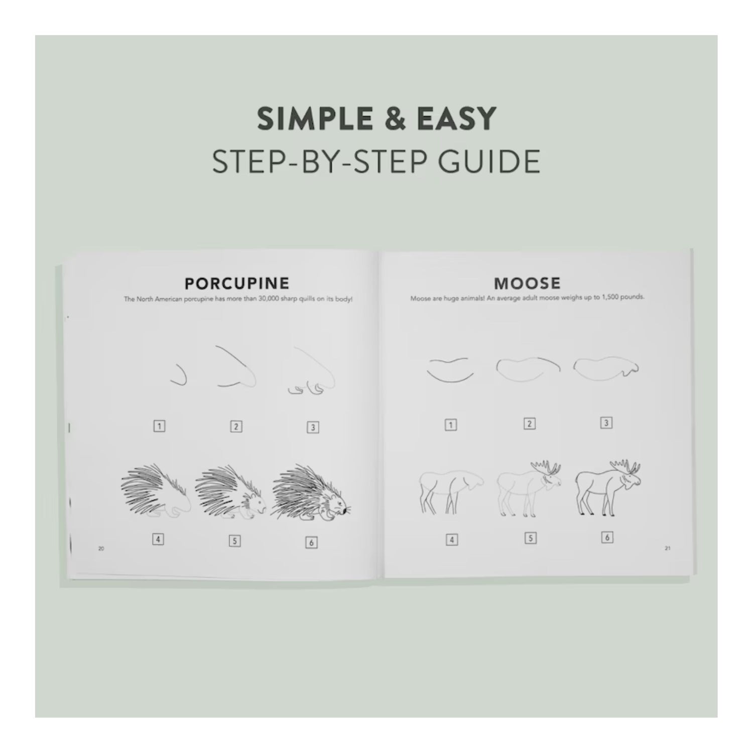 Mushrooms & Woodland Creatures: How to Draw Books for Kids with Woodland Creatures, Bugs, Plants, and Fungi