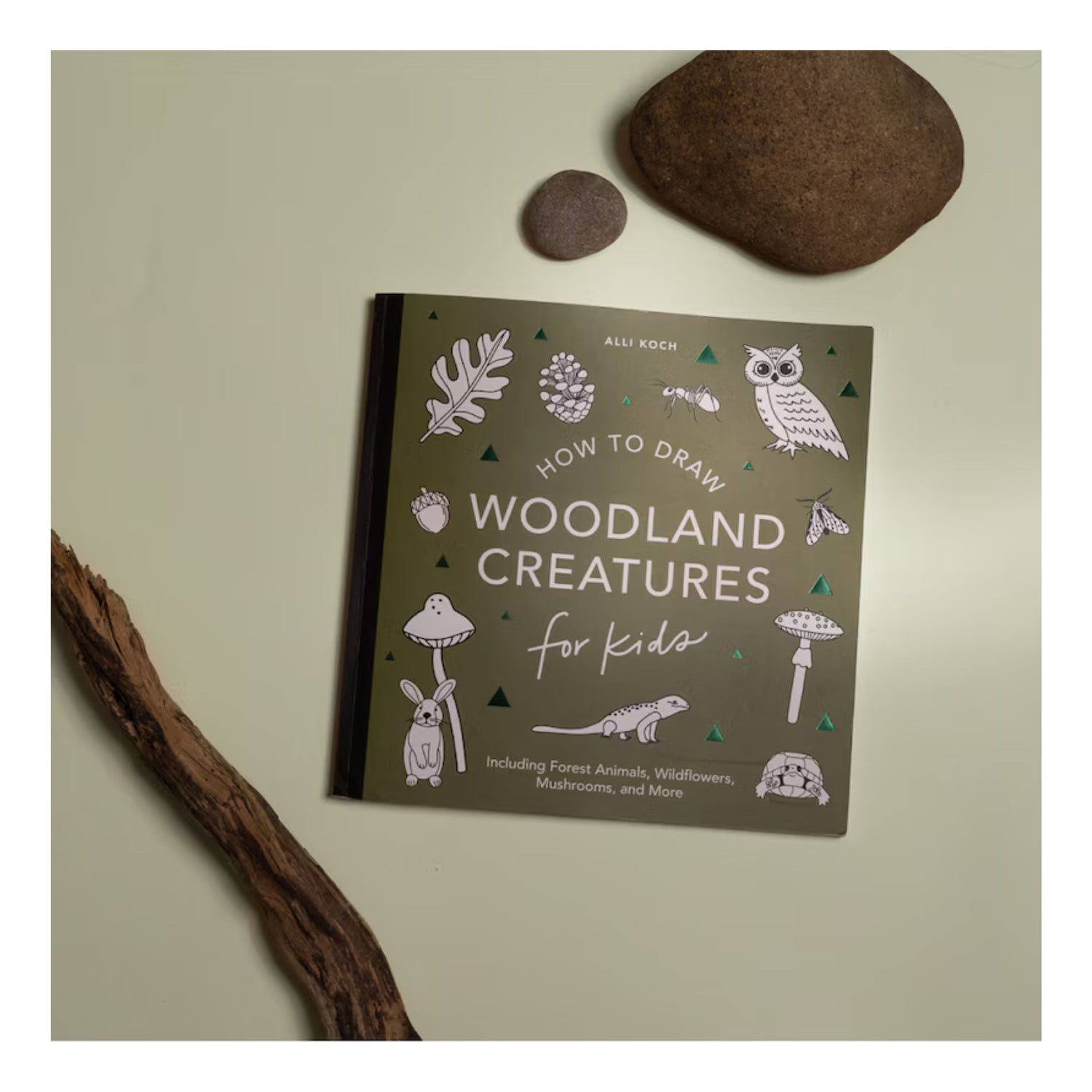 Mushrooms & Woodland Creatures: How to Draw Books for Kids with Woodland Creatures, Bugs, Plants, and Fungi