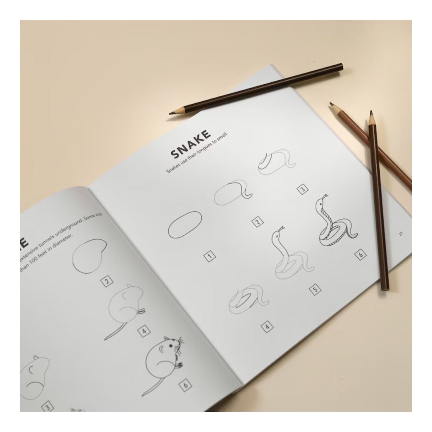 Mushrooms & Woodland Creatures: How to Draw Books for Kids with Woodland Creatures, Bugs, Plants, and Fungi