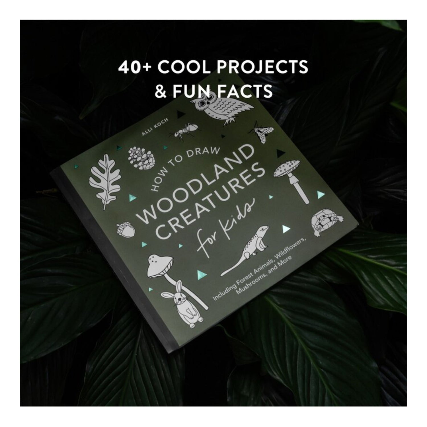 Mushrooms & Woodland Creatures: How to Draw Books for Kids with Woodland Creatures, Bugs, Plants, and Fungi