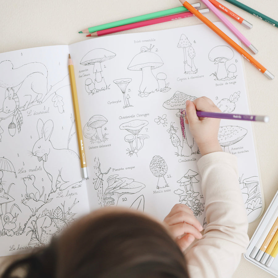 Sticker and Colouring Book (The Botanist)