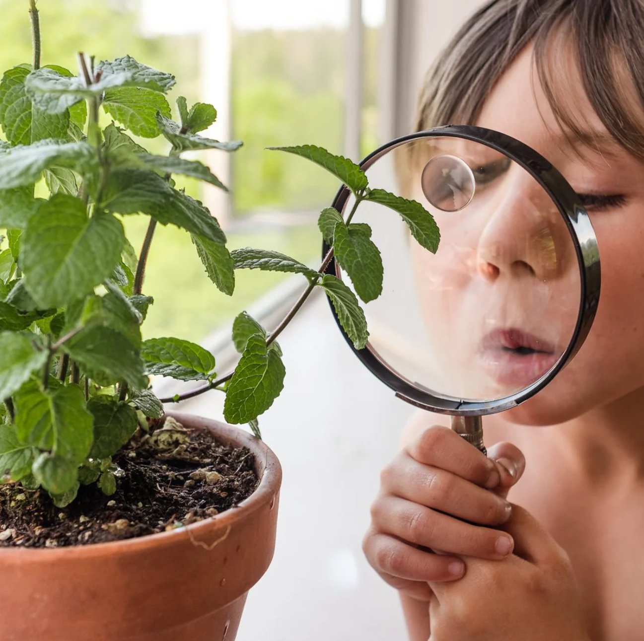 Children's Magnifying Glass