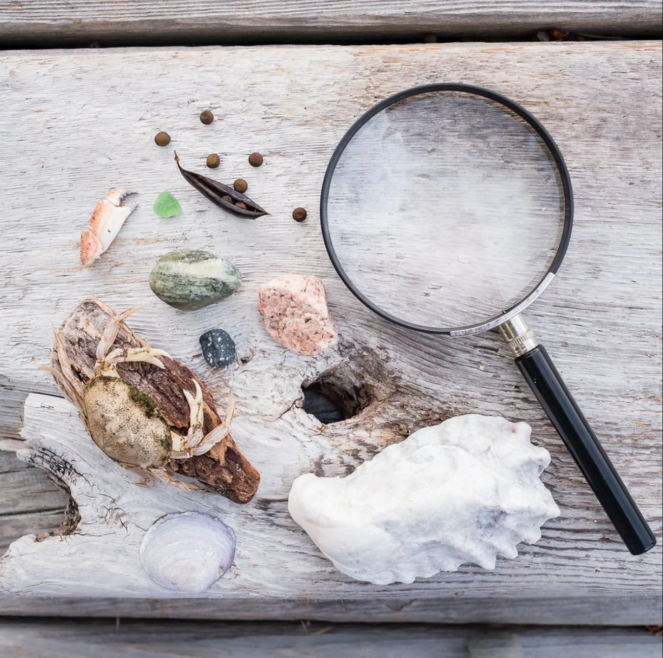 Children's Magnifying Glass