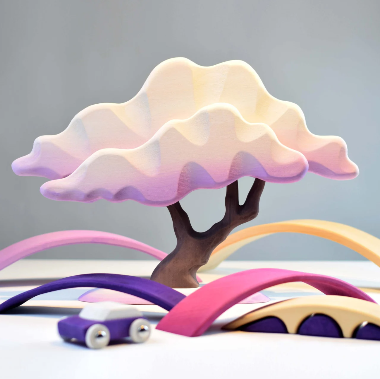 Japanese Winter Maple (Lilac)