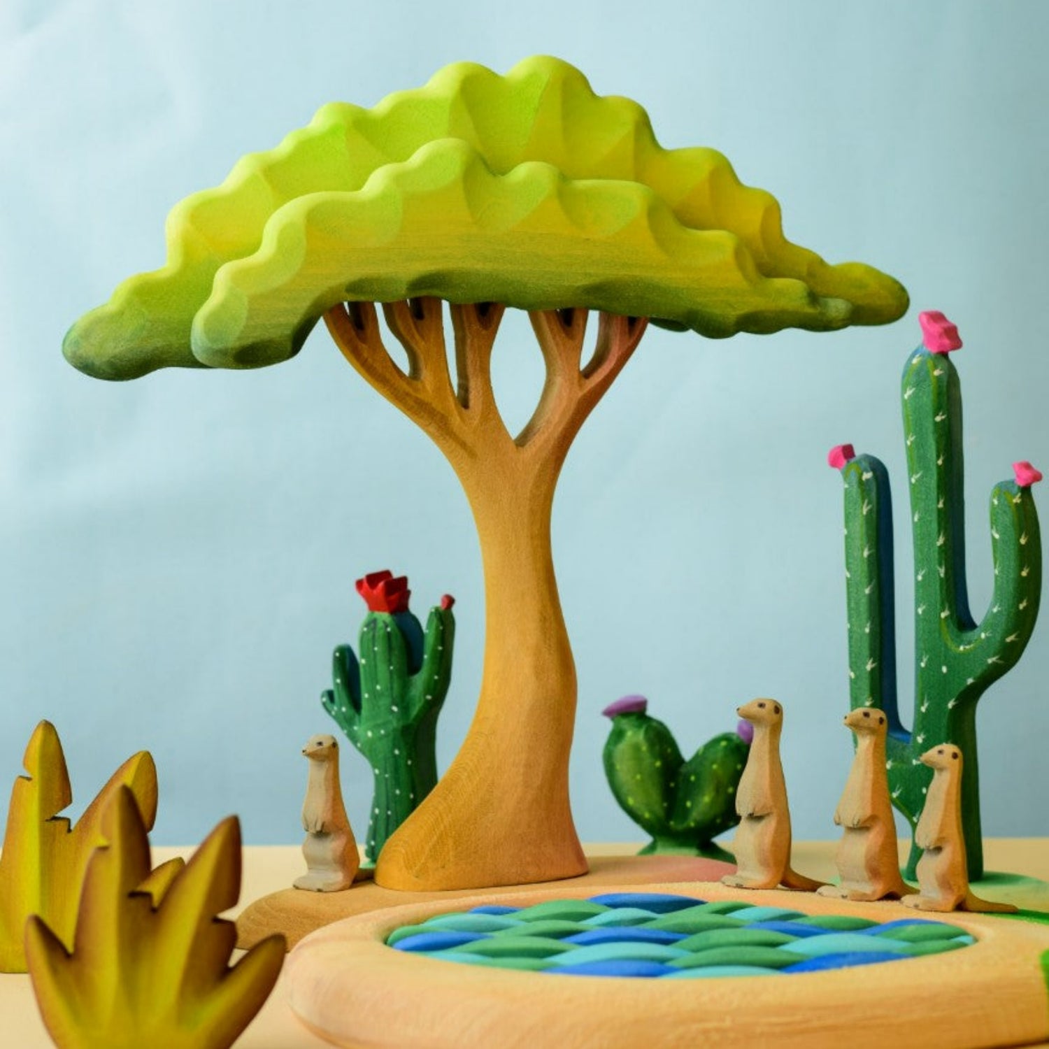 Large Acacia Tree