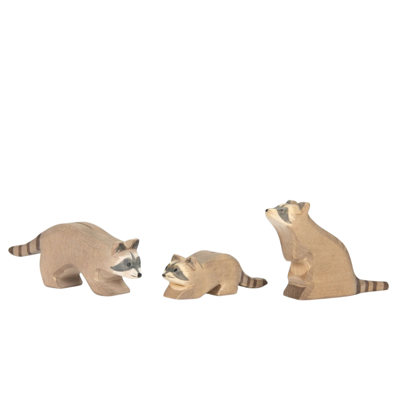 Ostheimer Raccoon (Sitting)