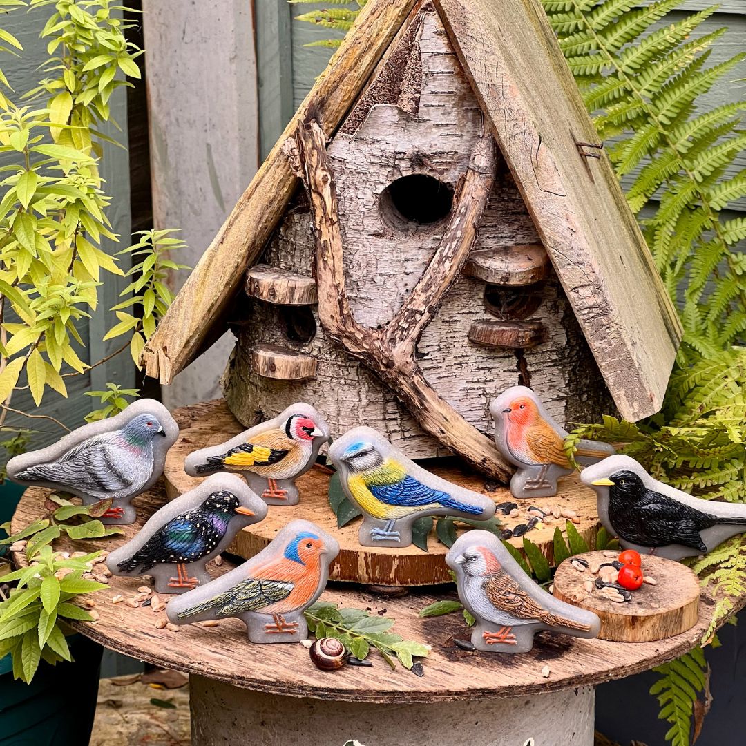 Play Stones (Birds)