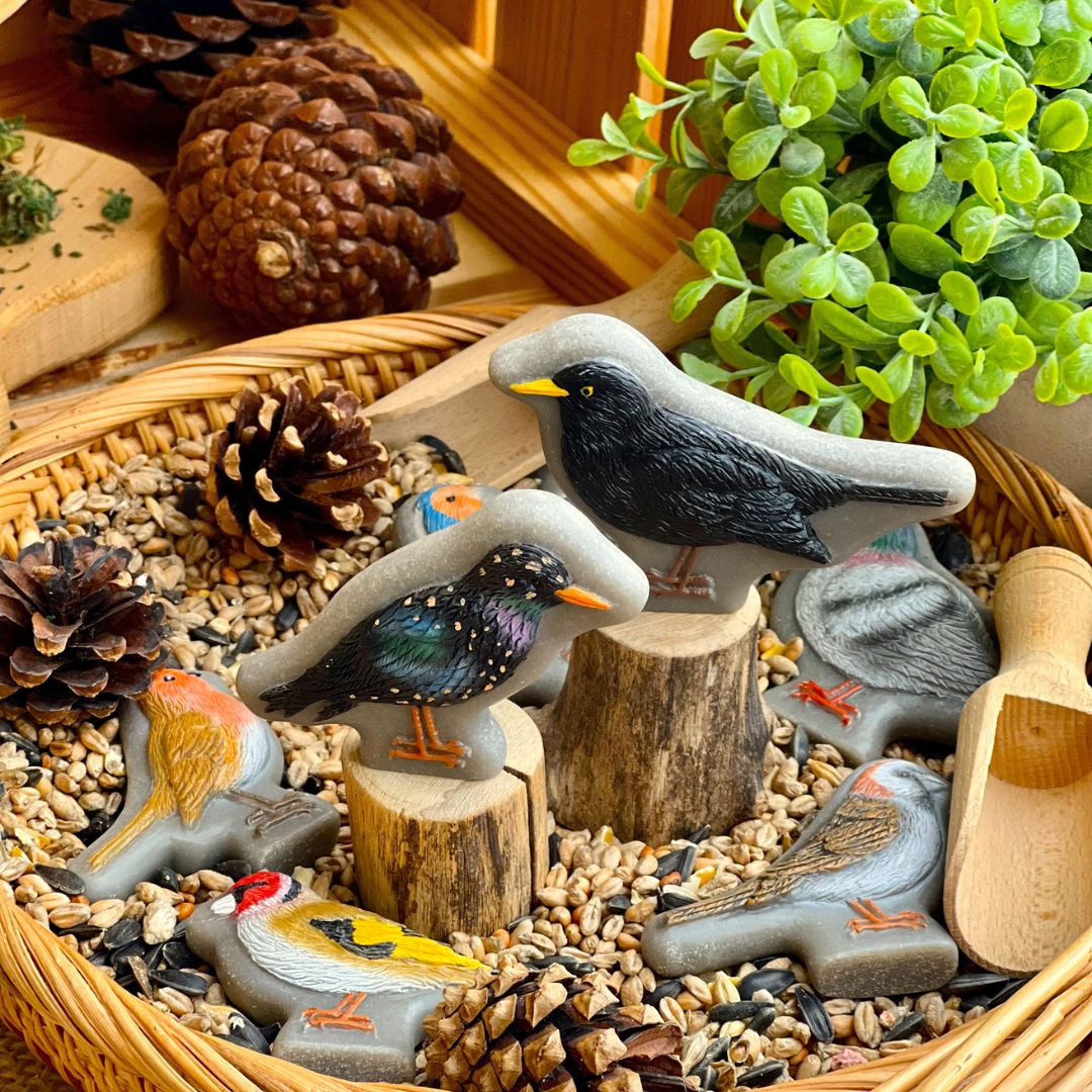 Play Stones (Birds)