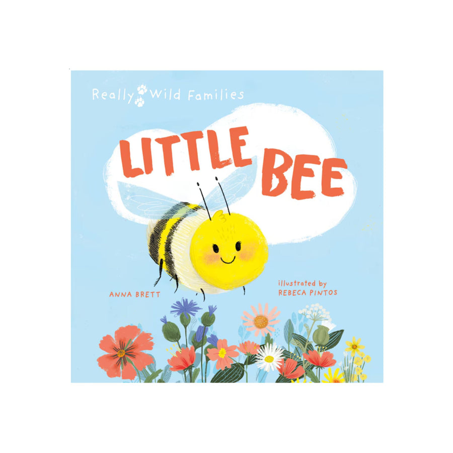 Little Bee: A Day in the Life of a Little Bee | Hardcover