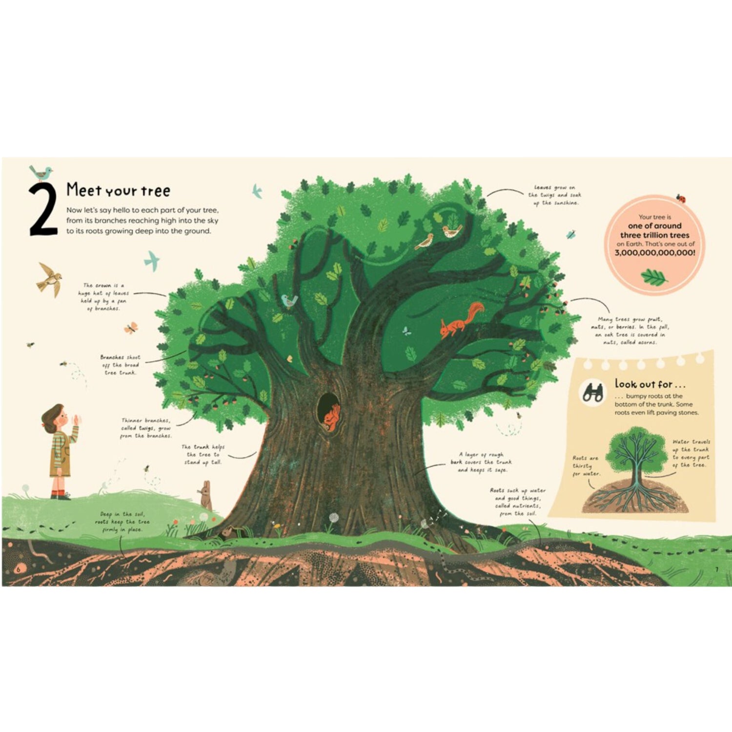 21 Things to Do With a Tree: An Outdoor Activity Book | Hardcover