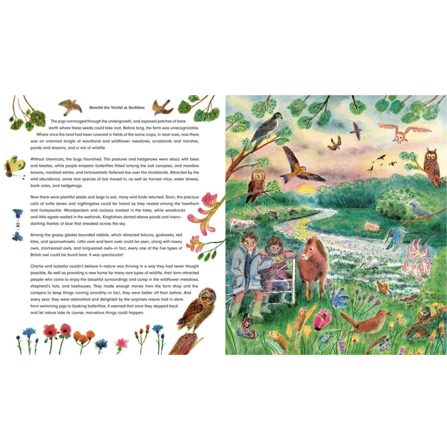 Rewild the World at Bedtime: Hopeful Stories from Mother Nature | Hardcover