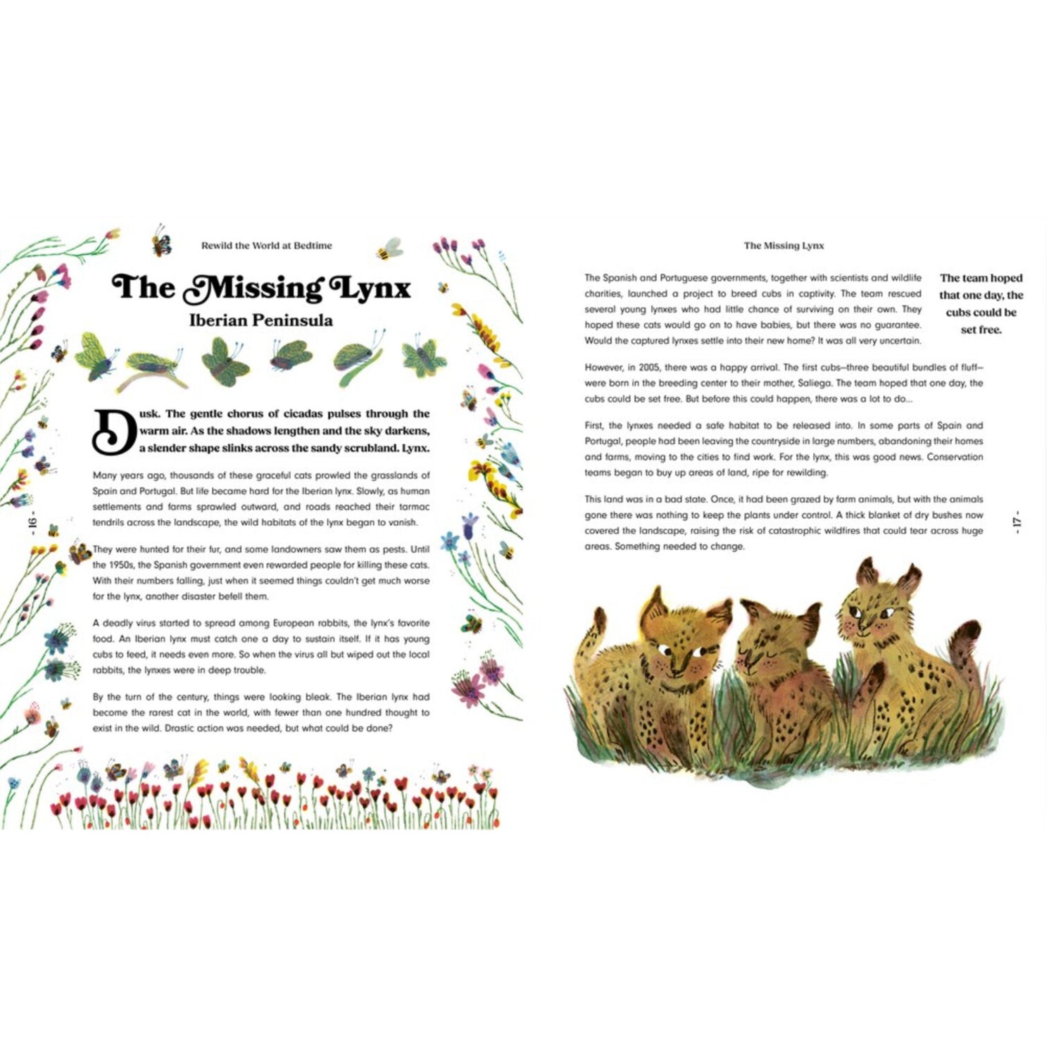 Rewild the World at Bedtime: Hopeful Stories from Mother Nature | Hardcover