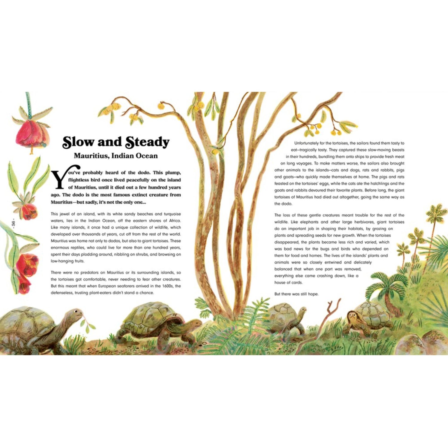 Rewild the World at Bedtime: Hopeful Stories from Mother Nature | Hardcover