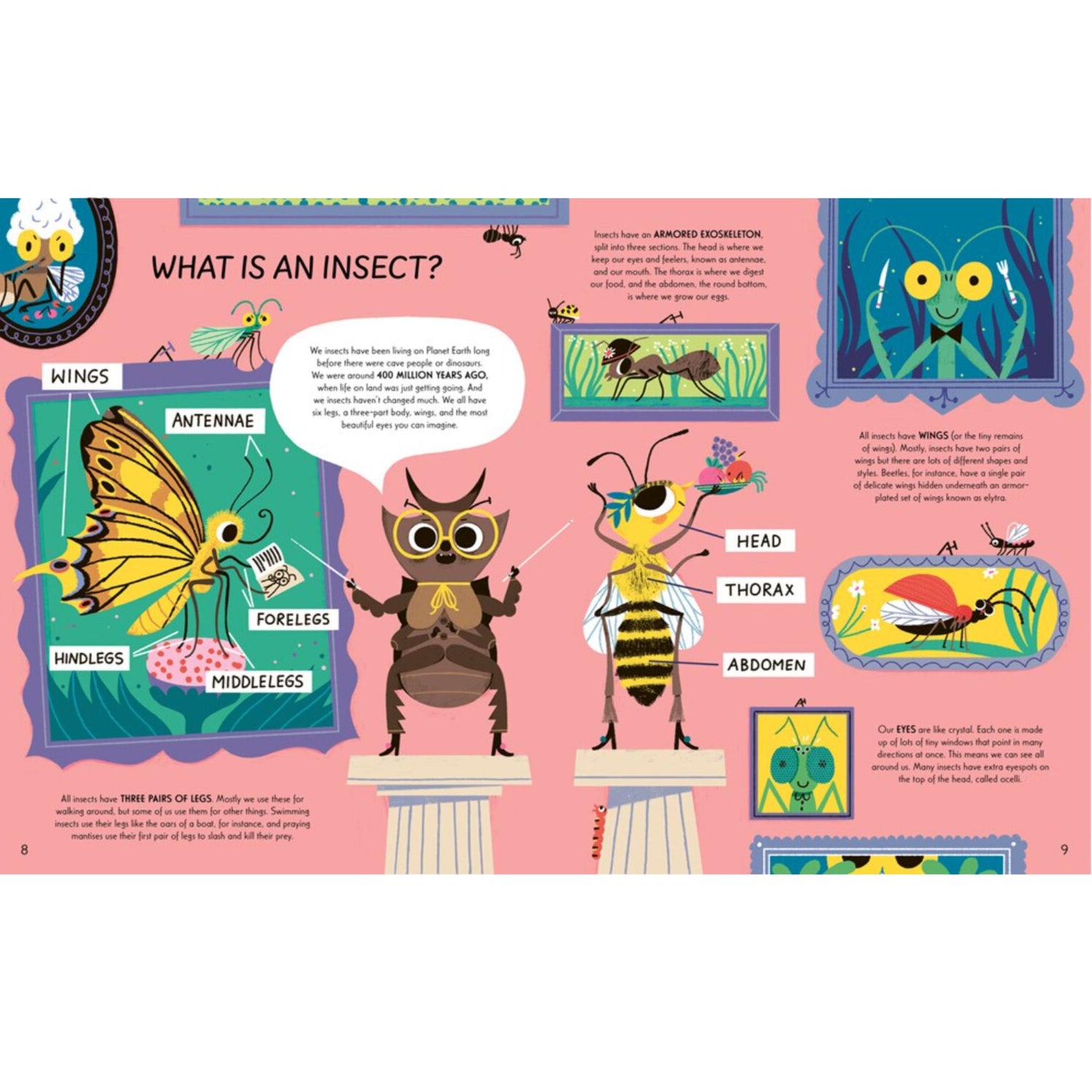 Respect the Insect | Hardcover