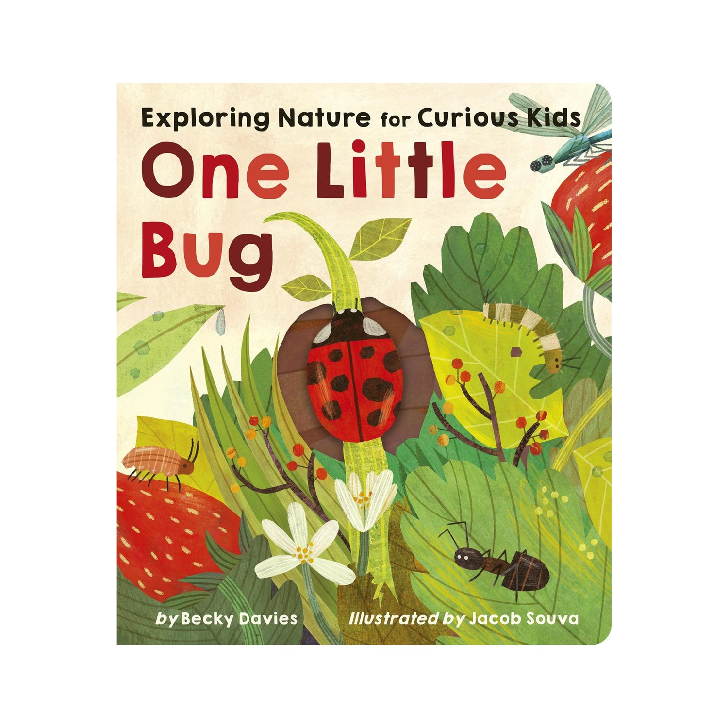 One Little Bug: Exploring Nature for Curious Kids | Board Book