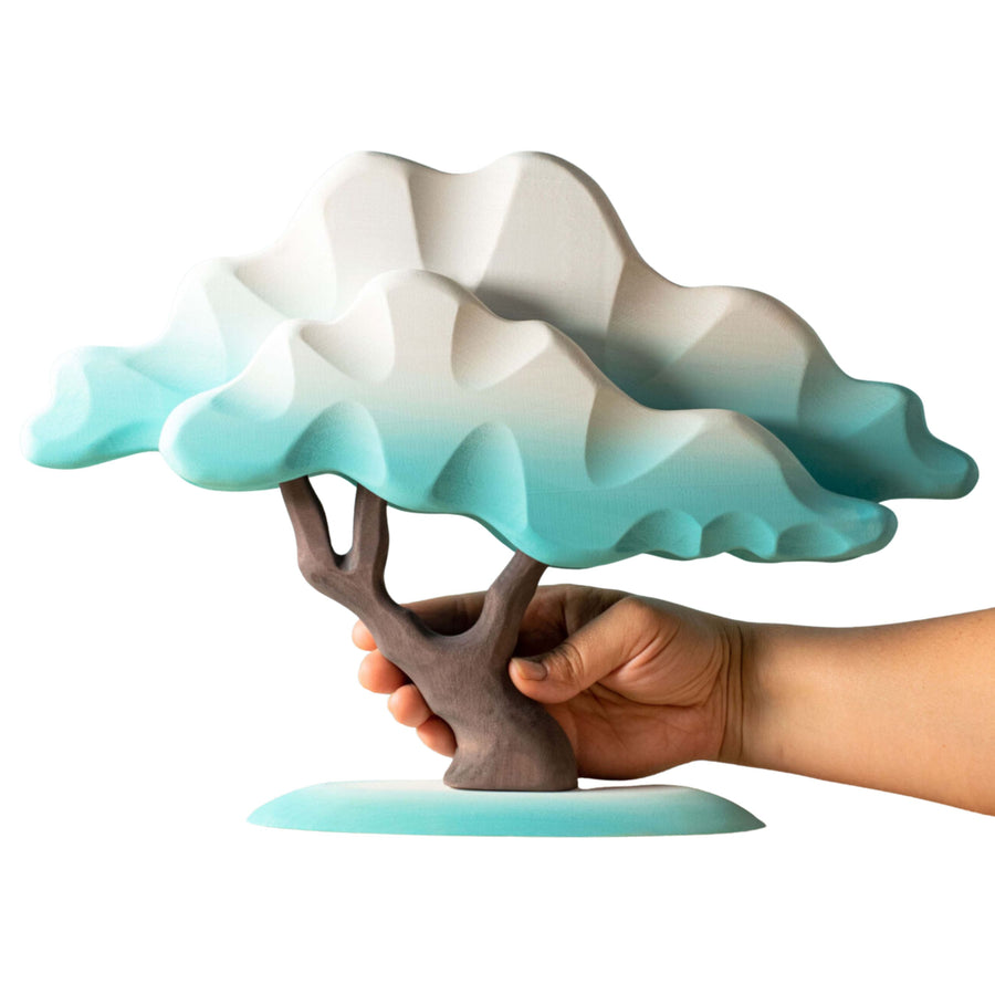 Japanese Winter Maple (Blue)