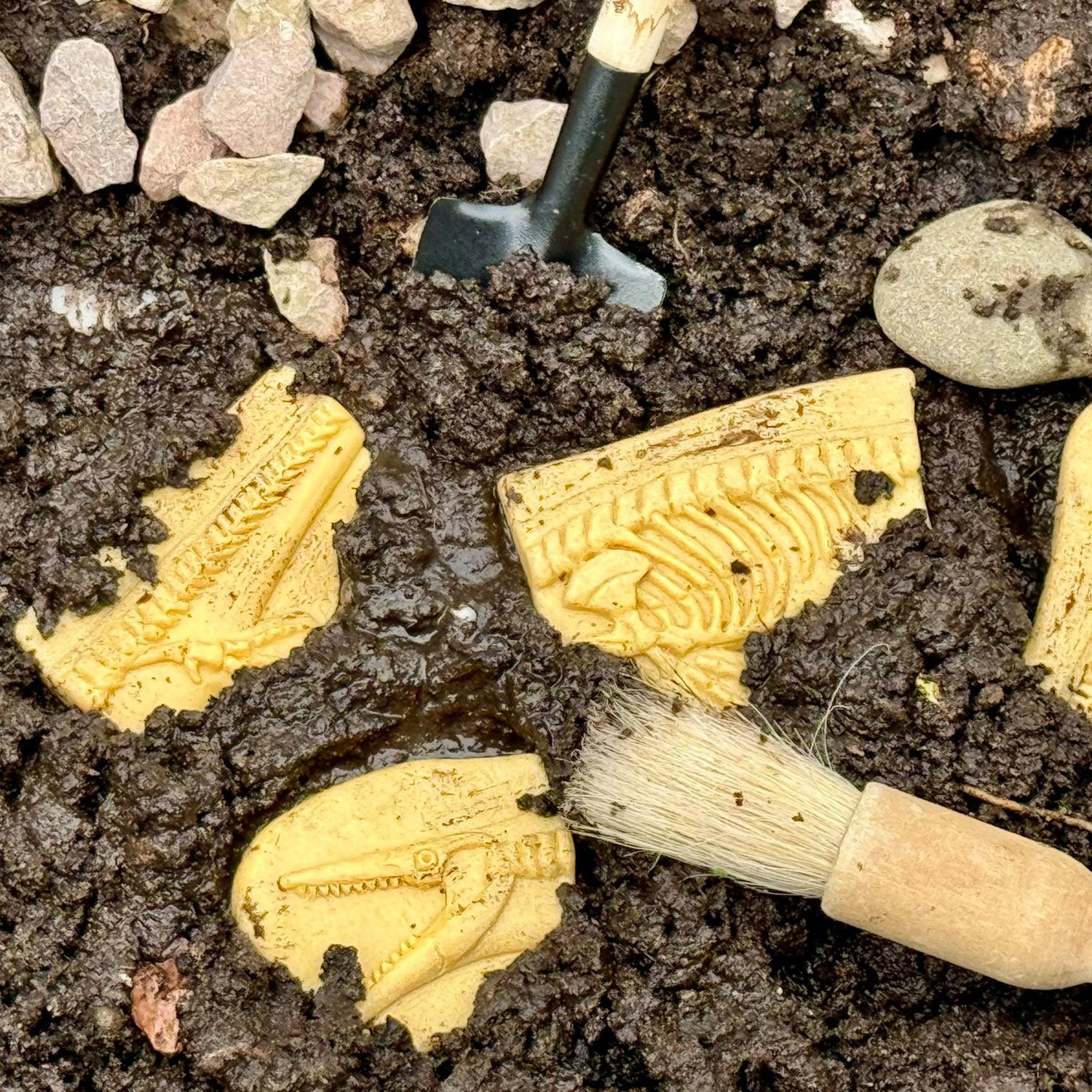 Dig and Discover Sensory Stones (Pliosaur & Stegosaurus)