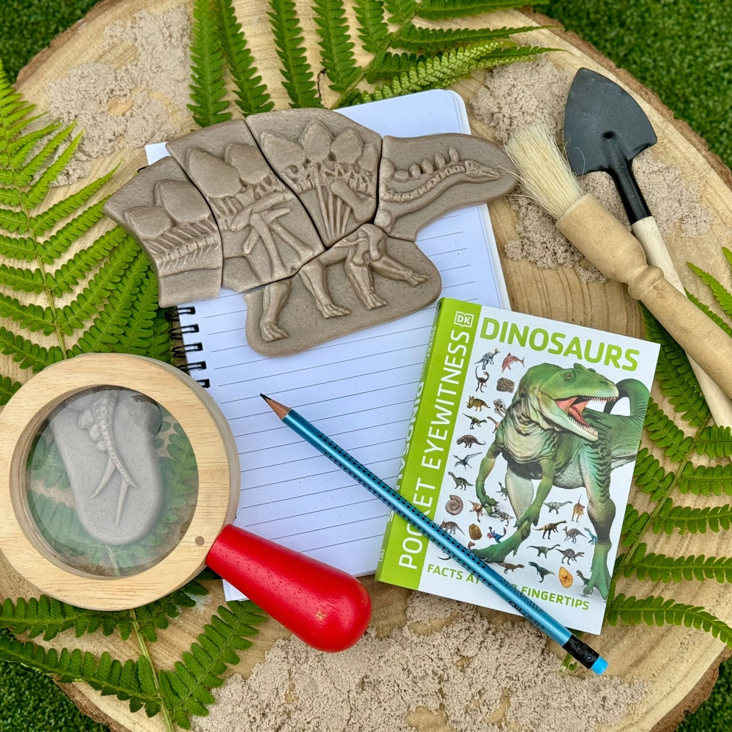 Dig and Discover Sensory Stones (Pliosaur & Stegosaurus)