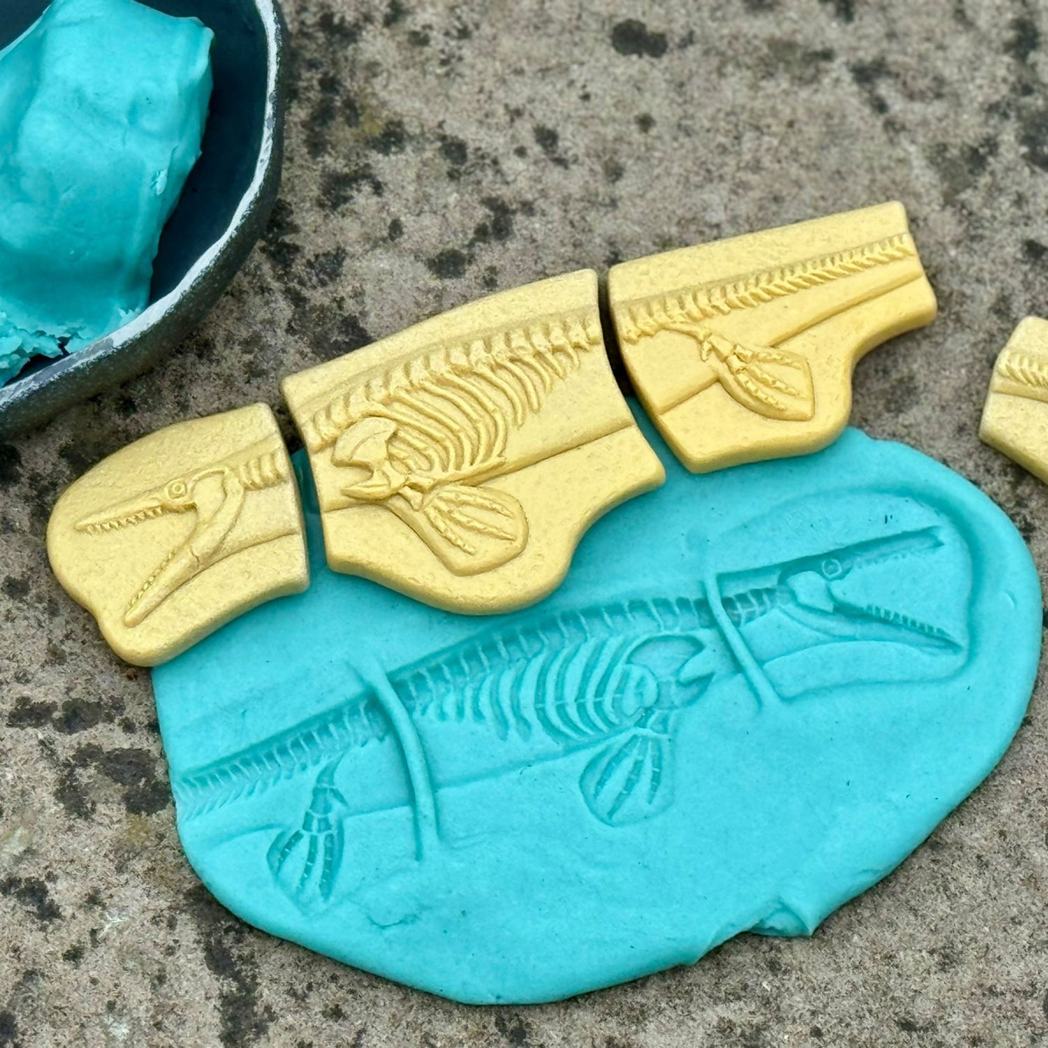 Dig and Discover Sensory Stones (Pliosaur & Stegosaurus)
