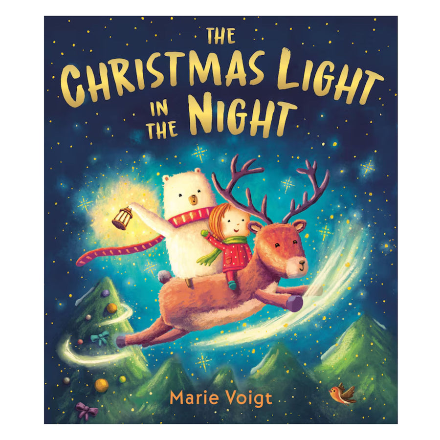 The Christmas Light in the Night | Hardcover