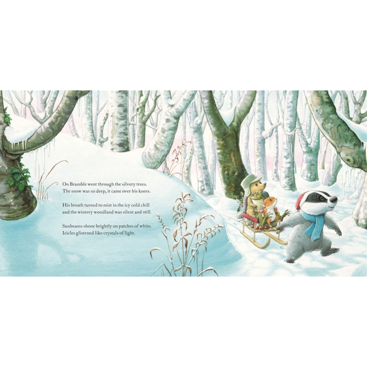 A Home in the Snow | Paperback