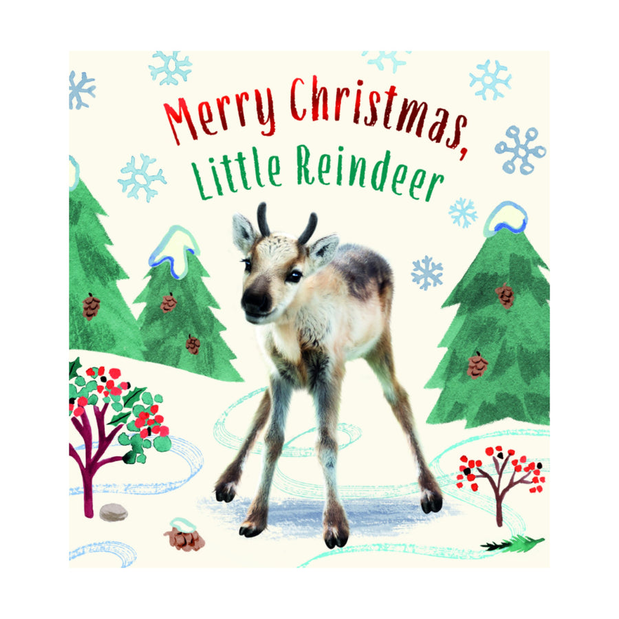 Merry Christmas, Little Reindeer | Board Book