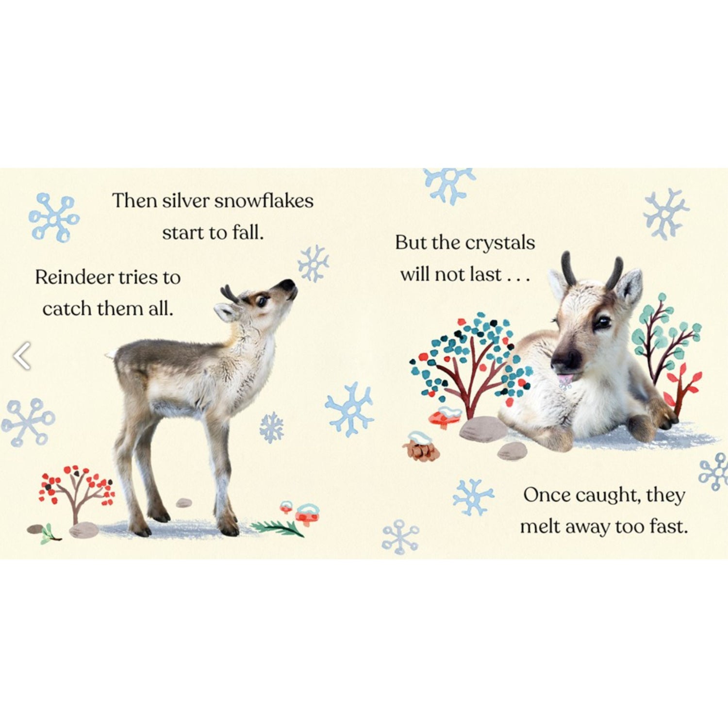 Merry Christmas, Little Reindeer | Board Book