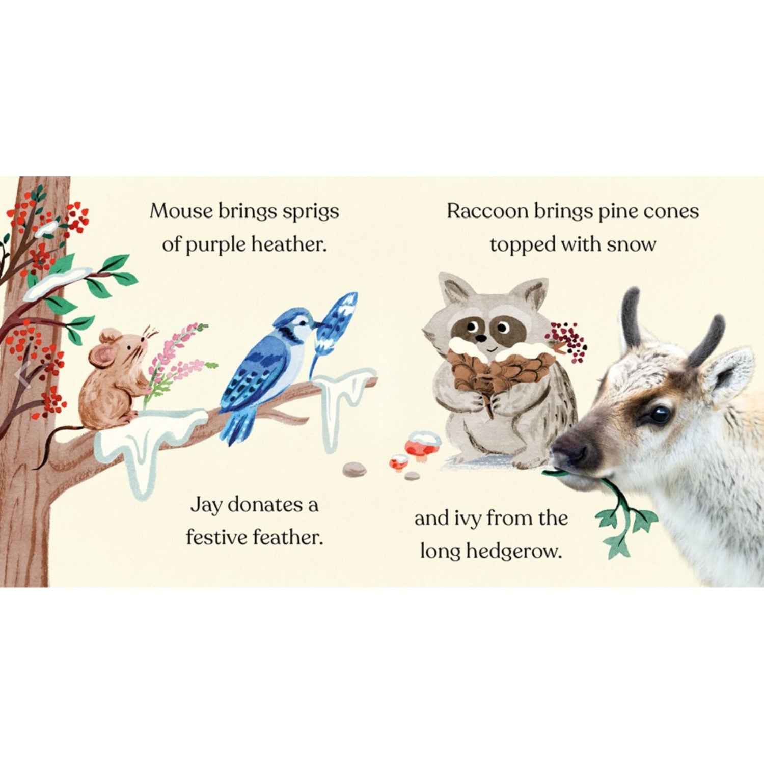 Merry Christmas, Little Reindeer | Board Book