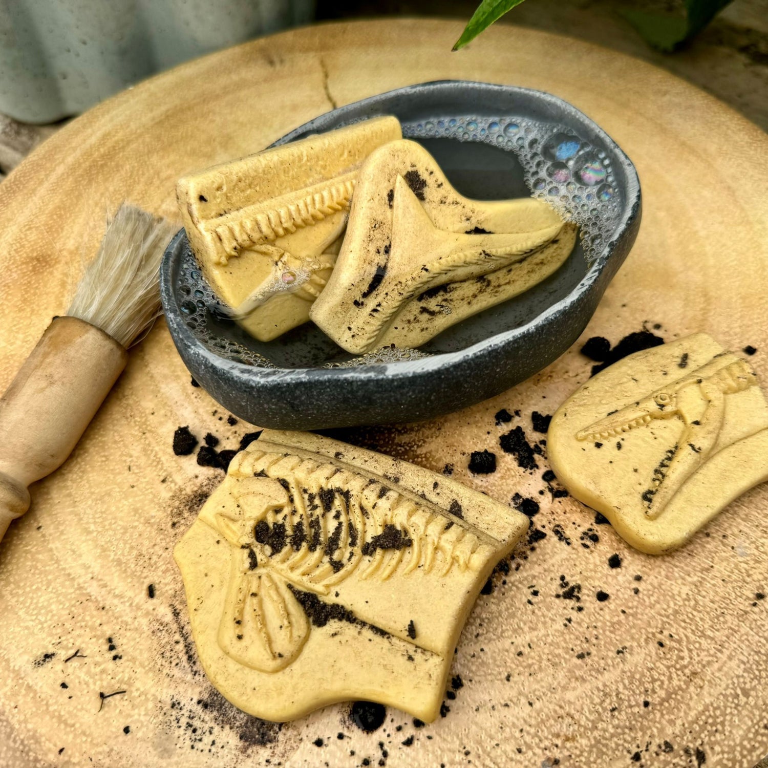 Dig and Discover Sensory Stones (Pliosaur & Stegosaurus)