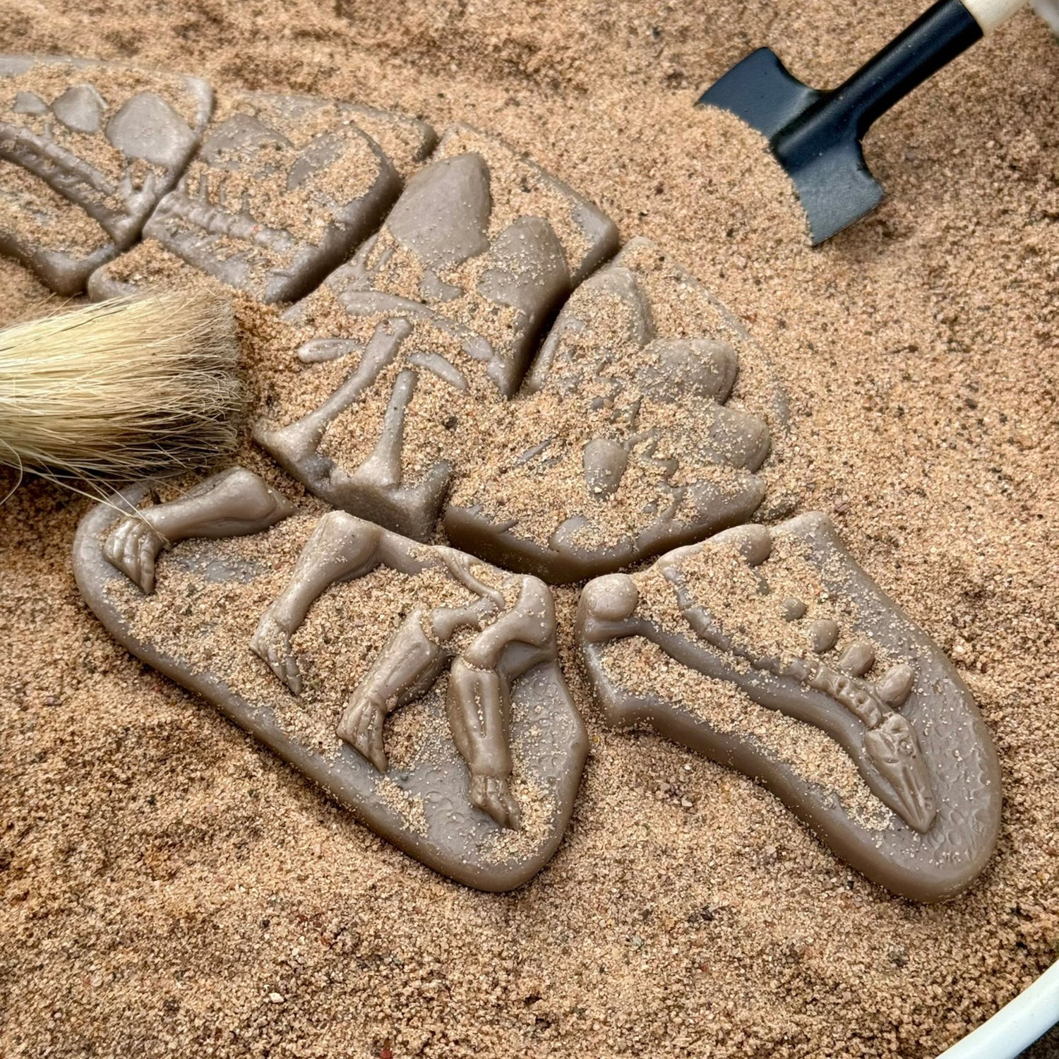 Dig and Discover Sensory Stones (Pliosaur & Stegosaurus)