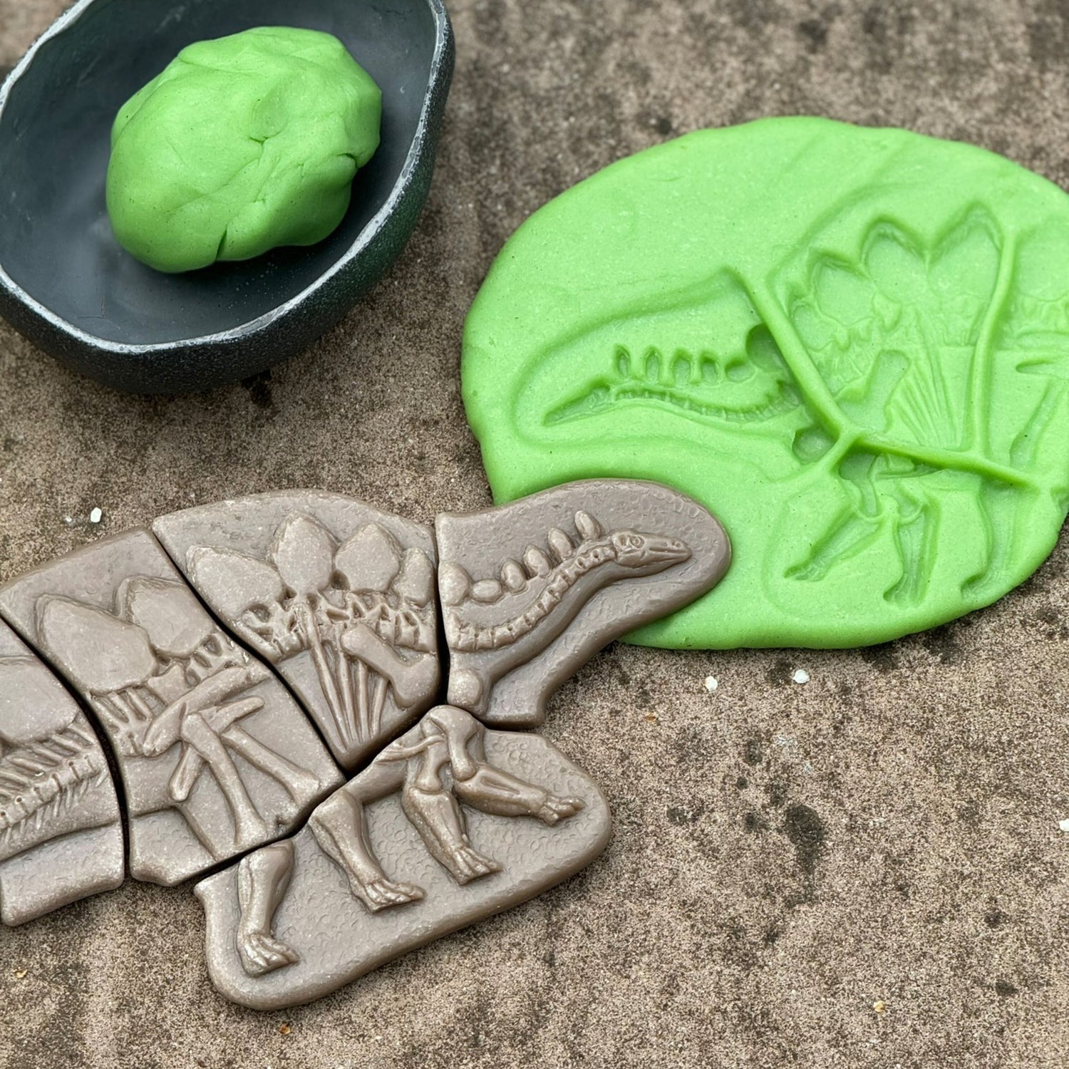 Dig and Discover Sensory Stones (Pliosaur & Stegosaurus)