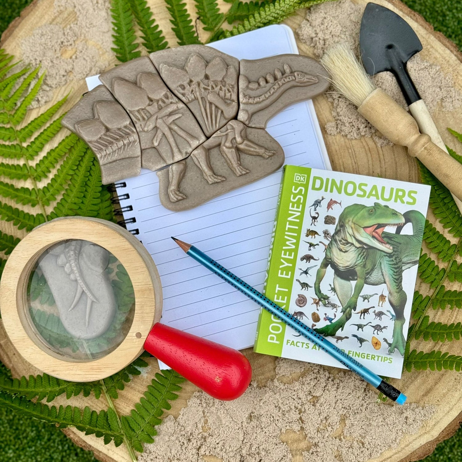 Dig and Discover Sensory Stones (Pliosaur & Stegosaurus)