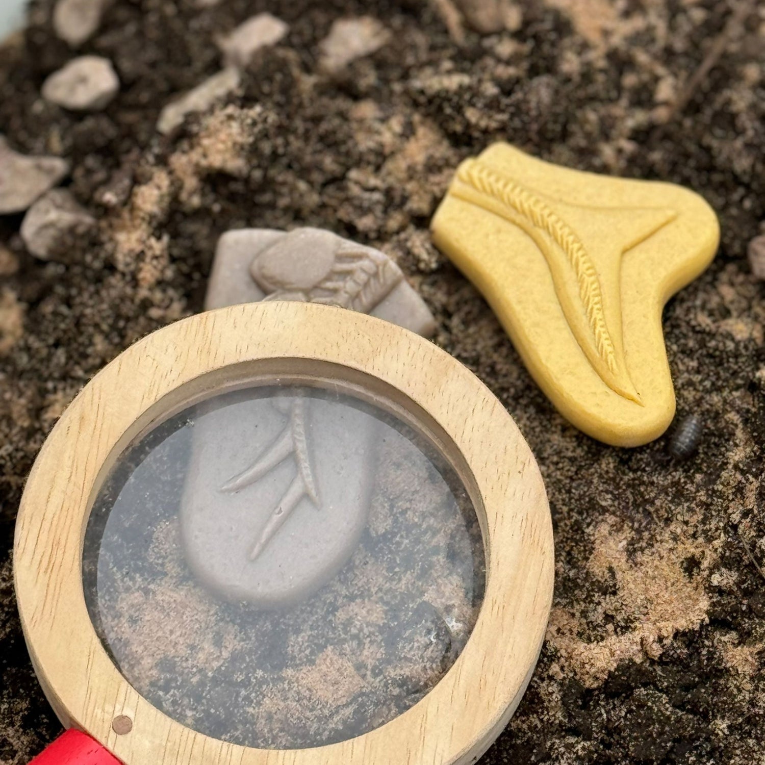 Dig and Discover Sensory Stones (Pliosaur & Stegosaurus)