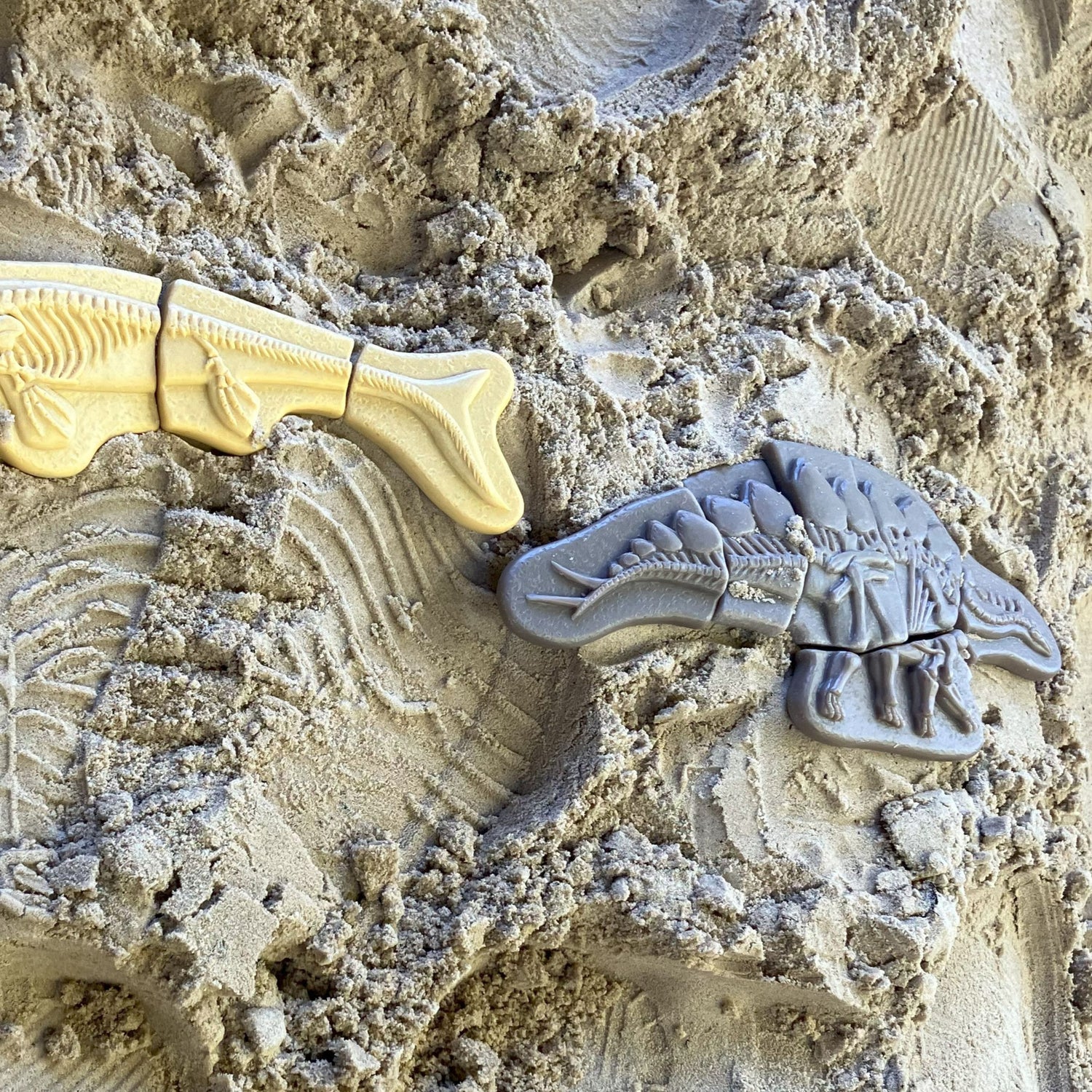 Dig and Discover Sensory Stones (Pliosaur & Stegosaurus)