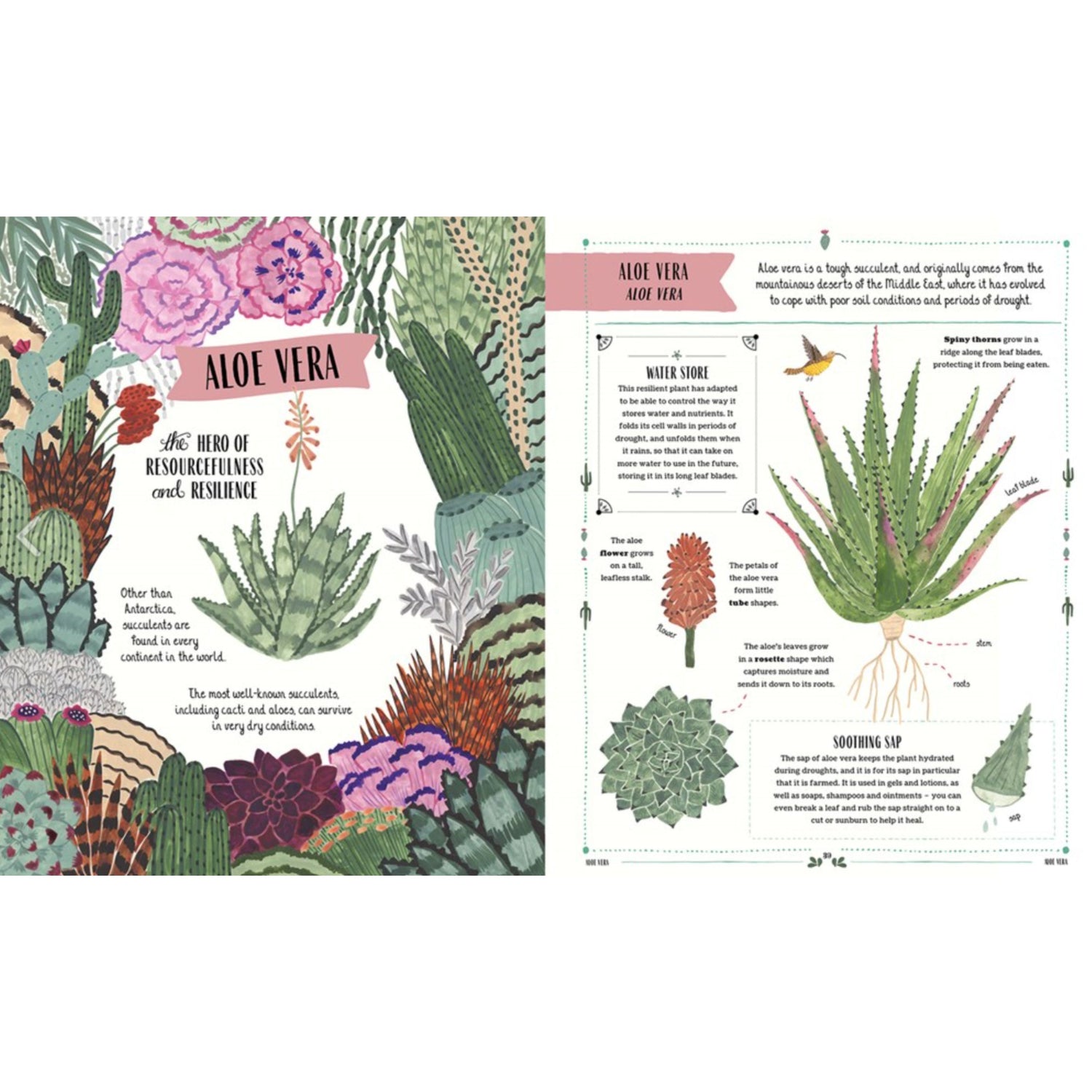 Grow: A Family Guide To Plants And How To Grow Them | Hardcover