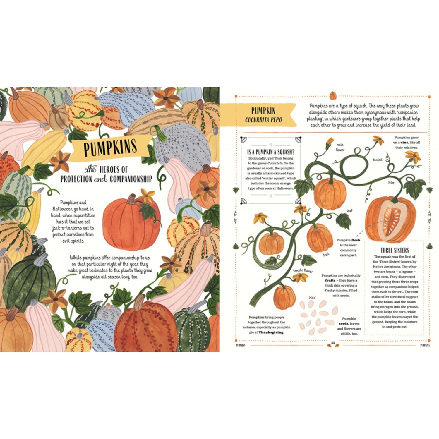 Grow: A Family Guide To Plants And How To Grow Them | Hardcover