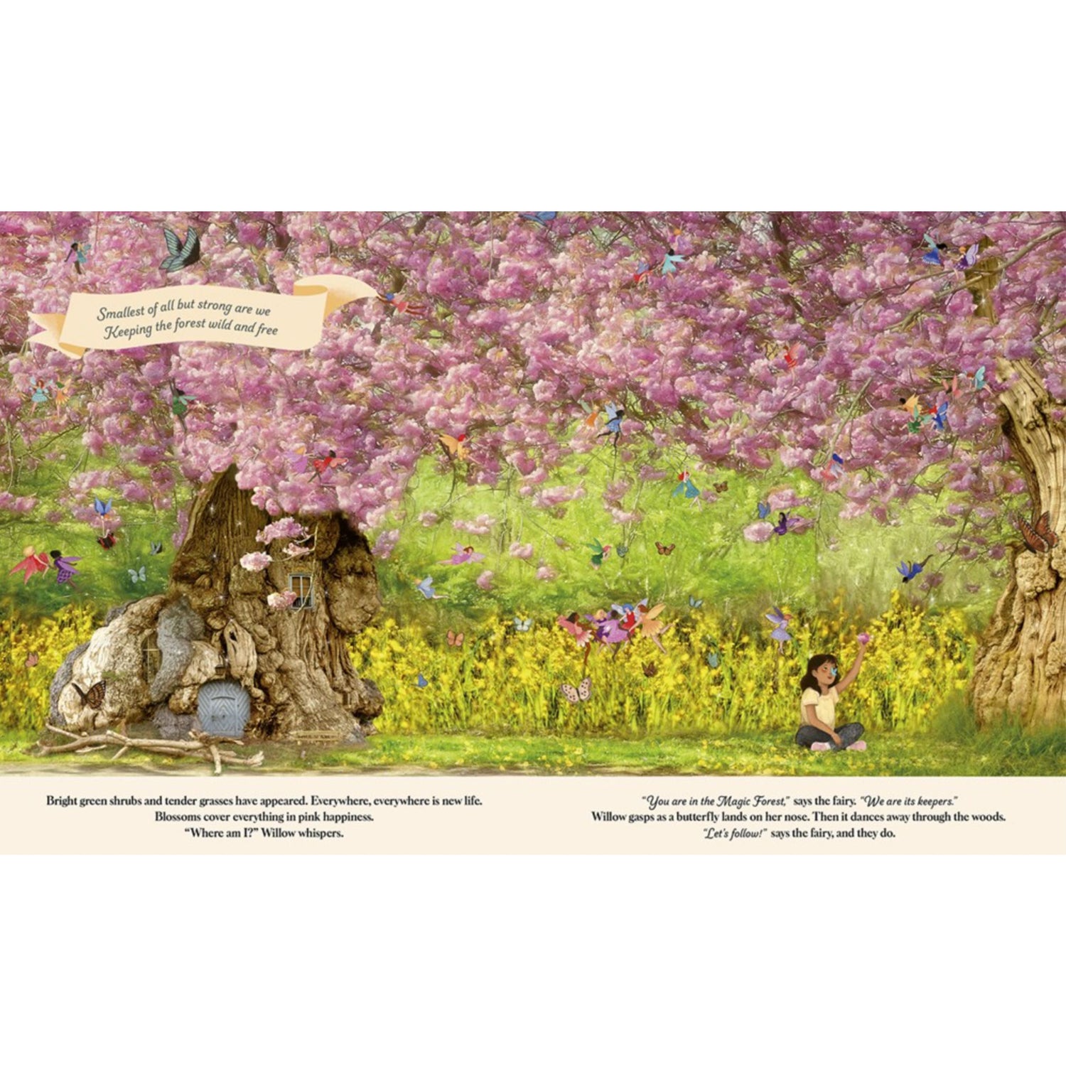 Through the Fairy Door: A Picture Book | Hardcover