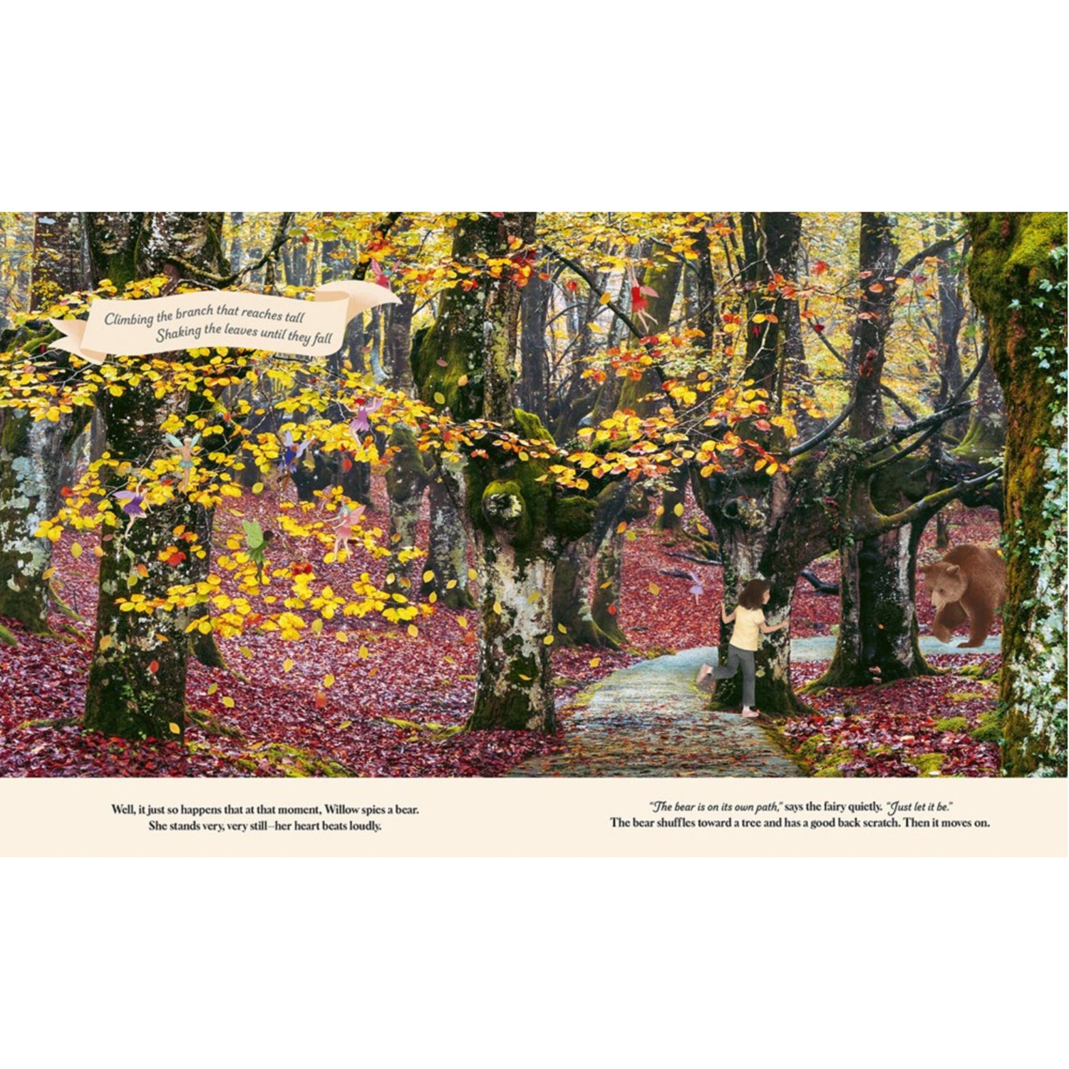 Through the Fairy Door: A Picture Book | Hardcover